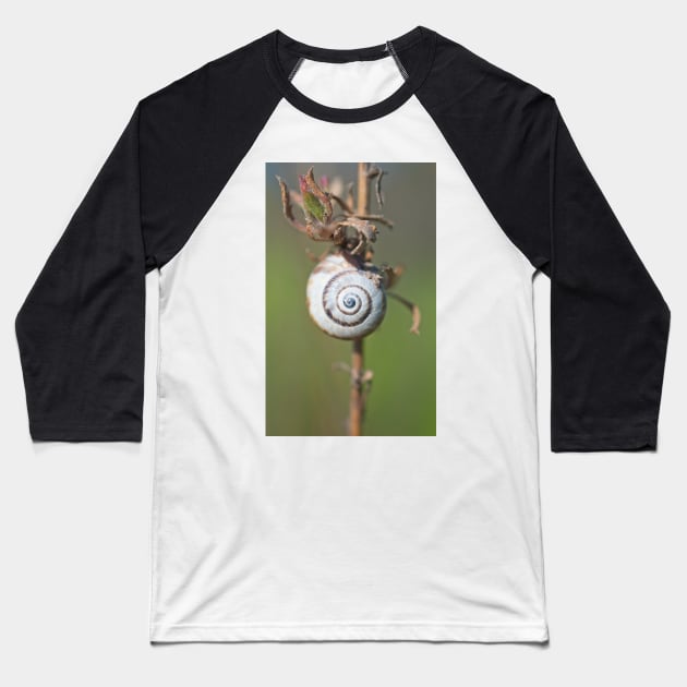 White Garden Snail Baseball T-Shirt by Breeze-Kruse